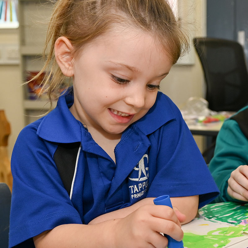 Features-12 Tapping Primary School